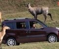 купить новое авто Фиат Добло 2025 года от официального дилера Автомир Hyundai, Nissan, Fiat Фиат фото