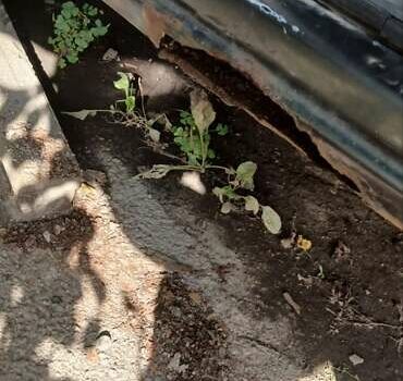 Фиат Добло 2011 в Борисполе на Automoto.ua Серый Фиат Добло, объемом двигателя 1.4 л и пробегом 100 тыс. км за 2500 $, фото 6 на Automoto.ua