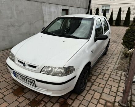 Белый Фиат Палио, объемом двигателя 1.2 л и пробегом 297 тыс. км за 1999 $, фото 1 на Automoto.ua