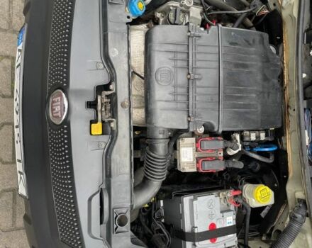 Белый Фиат Панда, объемом двигателя 1.2 л и пробегом 195 тыс. км за 2700 $, фото 11 на Automoto.ua