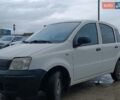 Фиат Панда 2011 в Львове на Automoto.ua Белый Фиат Панда, объемом двигателя 1.2 л и пробегом 184 тыс. км за 3500 $, фото 1 на Automoto.ua