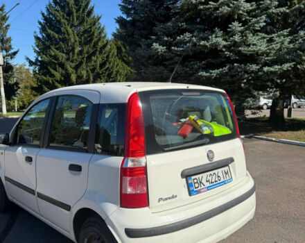 Білий Фіат Панда, об'ємом двигуна 1.25 л та пробігом 210 тис. км за 4000 $, фото 11 на Automoto.ua