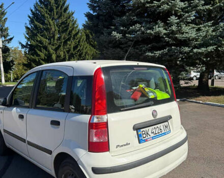 Белый Фиат Панда, объемом двигателя 1.25 л и пробегом 210 тыс. км за 4000 $, фото 1 на Automoto.ua