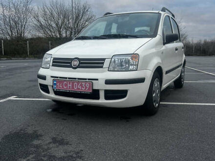Білий Фіат Панда, об'ємом двигуна 1.2 л та пробігом 124 тис. км за 3900 $, фото 1 на Automoto.ua