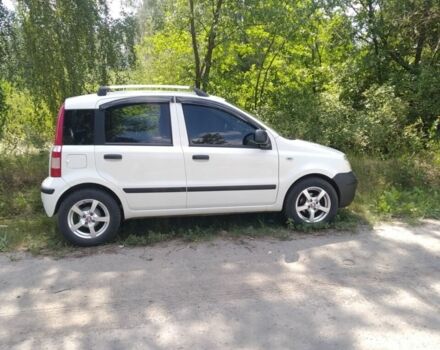 Белый Фиат Панда, объемом двигателя 1.2 л и пробегом 170 тыс. км за 5000 $, фото 1 на Automoto.ua