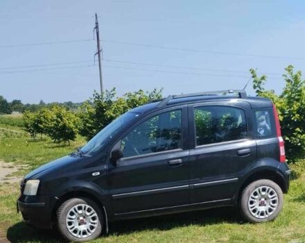 Фиат Панда 2008 в Владимир-Волынский на Automoto.ua Черный Фиат Панда, объемом двигателя 1.2 л и пробегом 176 тыс. км за 3600 $, фото 3 на Automoto.ua
