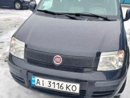 Черный Фиат Панда, объемом двигателя 1.24 л и пробегом 127 тыс. км за 3999 $, фото 1 на Automoto.ua