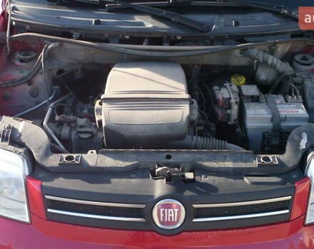 Красный Фиат Панда, объемом двигателя 1.24 л и пробегом 112 тыс. км за 4500 $, фото 11 на Automoto.ua