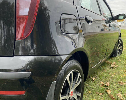 Фіат Пунто 2007 у Богуславе на Automoto.ua Чорний Фіат Пунто, об'ємом двигуна 1.24 л та пробігом 120 тис. км за 3250 $, фото 12 на Automoto.ua