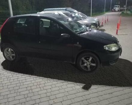 Фиат Пунто 2008 в Киеве на Automoto.ua Черный Фиат Пунто, объемом двигателя 1.24 л и пробегом 150 тыс. км за 3500 $, фото 30 на Automoto.ua