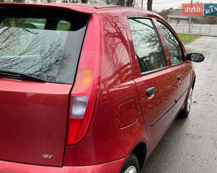 Красный Фиат Пунто, объемом двигателя 1.3 л и пробегом 234 тыс. км за 3990 $, фото 14 на Automoto.ua