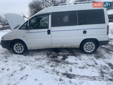 Фіат Скудо 2001 у Немирове на Automoto.ua Білий Фіат Скудо, об'ємом двигуна 2 л та пробігом 315 тис. км за 2900 $, фото 1 на Automoto.ua