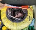 Фиат Стило, объемом двигателя 1.6 л и пробегом 282 тыс. км за 3600 $, фото 38 на Automoto.ua