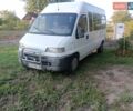Білий Фіат Улісе, об'ємом двигуна 2.8 л та пробігом 462 тис. км за 3500 $, фото 11 на Automoto.ua