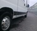 Белый Фиат Ducato груз.-пасс., объемом двигателя 2.3 л и пробегом 325 тыс. км за 5750 $, фото 19 на Automoto.ua