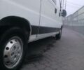 Білий Фіат Ducato груз.-пасс., об'ємом двигуна 2.3 л та пробігом 325 тис. км за 5750 $, фото 8 на Automoto.ua