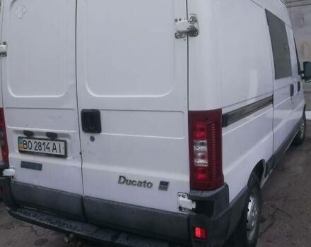 Белый Фиат Ducato груз.-пасс., объемом двигателя 2.3 л и пробегом 325 тыс. км за 5750 $, фото 12 на Automoto.ua