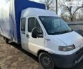 Белый Фиат Ducato груз.-пасс., объемом двигателя 2.8 л и пробегом 98 тыс. км за 4200 $, фото 3 на Automoto.ua