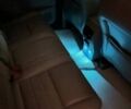 Форд Си-Макс 2014 в Одессе на Automoto.ua Белый Форд Си-Макс, объемом двигателя 2 л и пробегом 217 тыс. км за 12100 $, фото 22 на Automoto.ua