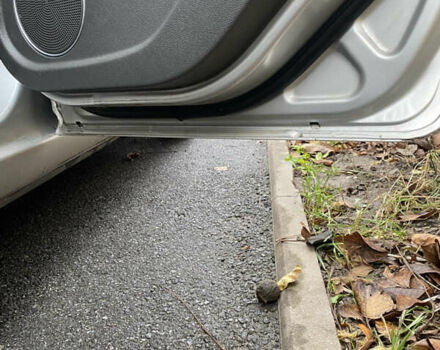 Сірий Форд Сі-Макс, об'ємом двигуна 1.8 л та пробігом 254 тис. км за 6100 $, фото 14 на Automoto.ua