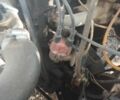 Форд Другая 1994 в Львове на Automoto.ua Белый Форд Другая, объемом двигателя 0 л и пробегом 160 тыс. км за 1500 $, фото 10 на Automoto.ua