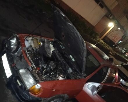 Коричневый Форд Другая, объемом двигателя 2 л и пробегом 700 тыс. км за 320 $, фото 2 на Automoto.ua