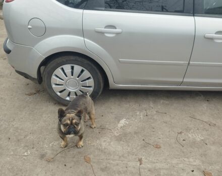 Серый Форд Другая, объемом двигателя 1.6 л и пробегом 178 тыс. км за 5300 $, фото 2 на Automoto.ua