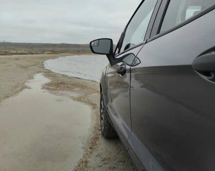 Сірий Форд Екоспорт, об'ємом двигуна 2 л та пробігом 25 тис. км за 12800 $, фото 14 на Automoto.ua