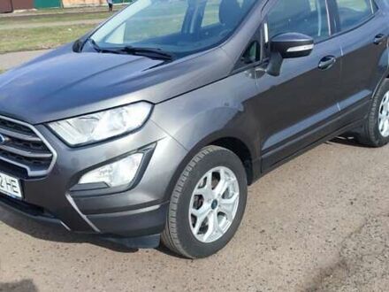 Форд Экоспорт 2017 в Полтаве на Automoto.ua Серый Форд Экоспорт, объемом двигателя 1 л и пробегом 74 тыс. км за 12800 $, фото 1 на Automoto.ua