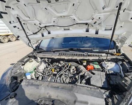 Білий Форд Едж, об'ємом двигуна 2 л та пробігом 34 тис. км за 25700 $, фото 18 на Automoto.ua