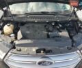 Форд Эдж 2015 в Кропивницком (Кировограде) на Automoto.ua Форд Эдж, объемом двигателя 3.5 л и пробегом 167 тыс. км за 2300 $, фото 11 на Automoto.ua