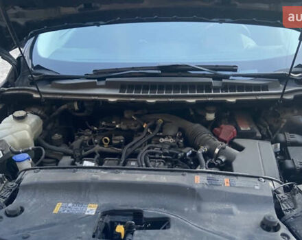 Форд Эдж, объемом двигателя 2 л и пробегом 78 тыс. км за 15500 $, фото 9 на Automoto.ua
