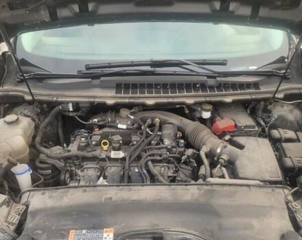 Серый Форд Эдж, объемом двигателя 2 л и пробегом 57 тыс. км за 20000 $, фото 16 на Automoto.ua