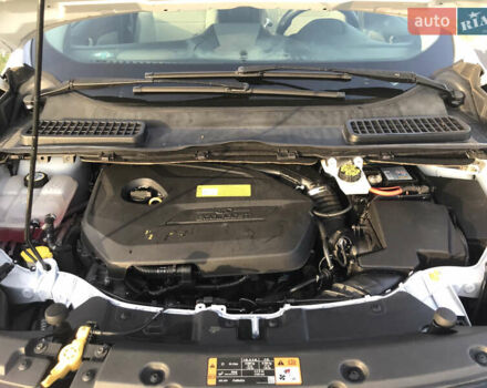 Білий Форд Ескейп, об'ємом двигуна 1.6 л та пробігом 247 тис. км за 10500 $, фото 14 на Automoto.ua