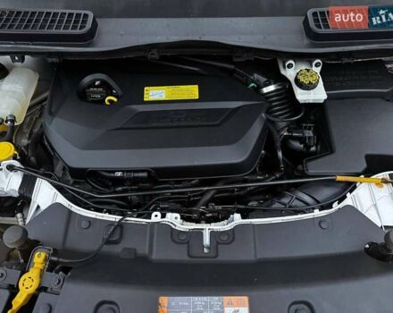 Белый Форд Эскейп, объемом двигателя 1.6 л и пробегом 138 тыс. км за 11450 $, фото 39 на Automoto.ua