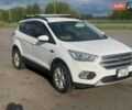 Форд Эскейп 2016 в Полтаве на Automoto.ua Белый Форд Эскейп, объемом двигателя 1.5 л и пробегом 242 тыс. км за 10700 $, фото 1 на Automoto.ua