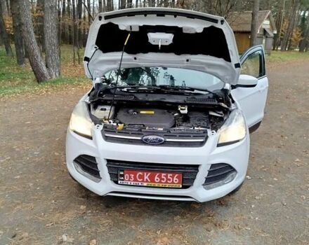 Білий Форд Ескейп, об'ємом двигуна 1.6 л та пробігом 246 тис. км за 9850 $, фото 12 на Automoto.ua