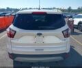 Белый Форд Эскейп, объемом двигателя 2 л и пробегом 65 тыс. км за 8000 $, фото 15 на Automoto.ua