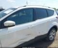 Білий Форд Ескейп, об'ємом двигуна 2 л та пробігом 149 тис. км за 3000 $, фото 13 на Automoto.ua