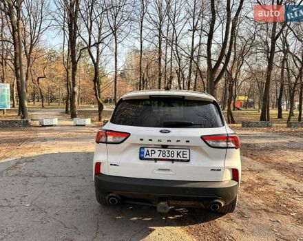 Белый Форд Эскейп, объемом двигателя 2 л и пробегом 66 тыс. км за 21800 $, фото 10 на Automoto.ua