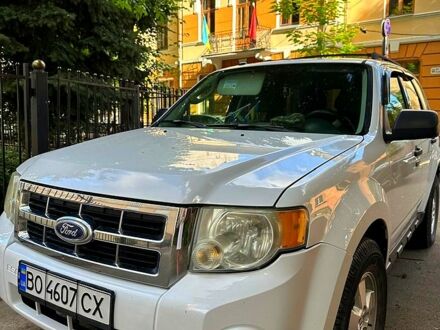 Форд Эскейп 2009 в Тернополе на Automoto.ua Белый Форд Эскейп, объемом двигателя 2.5 л и пробегом 365 тыс. км за 7500 $, фото 1 на Automoto.ua