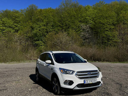 Форд Эскейп 2017 в Черновцах на Automoto.ua Белый Форд Эскейп, объемом двигателя 1.5 л и пробегом 54 тыс. км за 14200 $, фото 1 на Automoto.ua