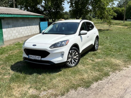 Форд Эскейп 2021 в Бердичеве на Automoto.ua Белый Форд Эскейп, объемом двигателя 2.5 л и пробегом 31 тыс. км за 23900 $, фото 1 на Automoto.ua