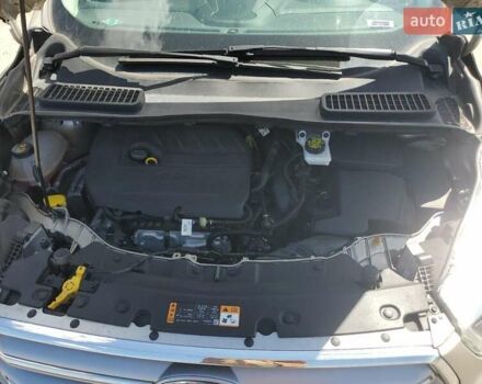 Бежевый Форд Эскейп, объемом двигателя 1.5 л и пробегом 90 тыс. км за 2500 $, фото 11 на Automoto.ua