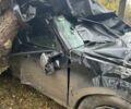 Форд Эскейп 2012 в Краматорске на Automoto.ua Черный Форд Эскейп, объемом двигателя 2.49 л и пробегом 130 тыс. км за 3000 $, фото 7 на Automoto.ua