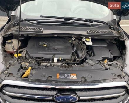 Форд Эскейп 2016 в Киеве на Automoto.ua Черный Форд Эскейп, объемом двигателя 1.5 л и пробегом 115 тыс. км за 12700 $, фото 5 на Automoto.ua