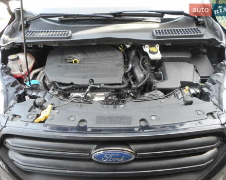 Форд Эскейп 2017 в Пирятине на Automoto.ua Черный Форд Эскейп, объемом двигателя 1.5 л и пробегом 122 тыс. км за 12880 $, фото 26 на Automoto.ua