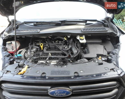 Форд Эскейп 2017 в Пирятине на Automoto.ua Черный Форд Эскейп, объемом двигателя 1.5 л и пробегом 122 тыс. км за 12880 $, фото 25 на Automoto.ua