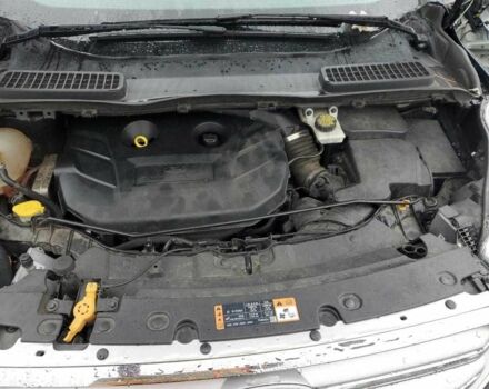 Чорний Форд Ескейп, об'ємом двигуна 0 л та пробігом 73 тис. км за 8500 $, фото 11 на Automoto.ua