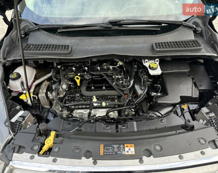 Черный Форд Эскейп, объемом двигателя 1.5 л и пробегом 142 тыс. км за 12990 $, фото 67 на Automoto.ua